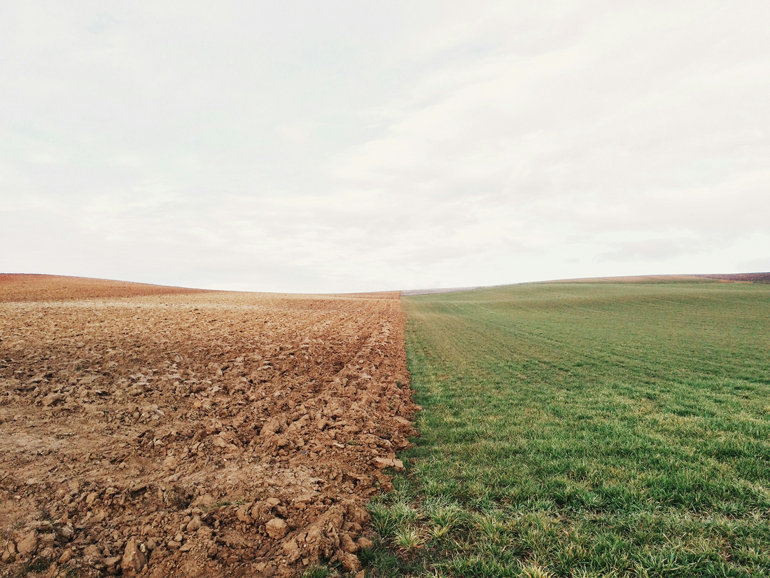 Nurturing Nature: How Climate Change Impacts the Hobby Gardener