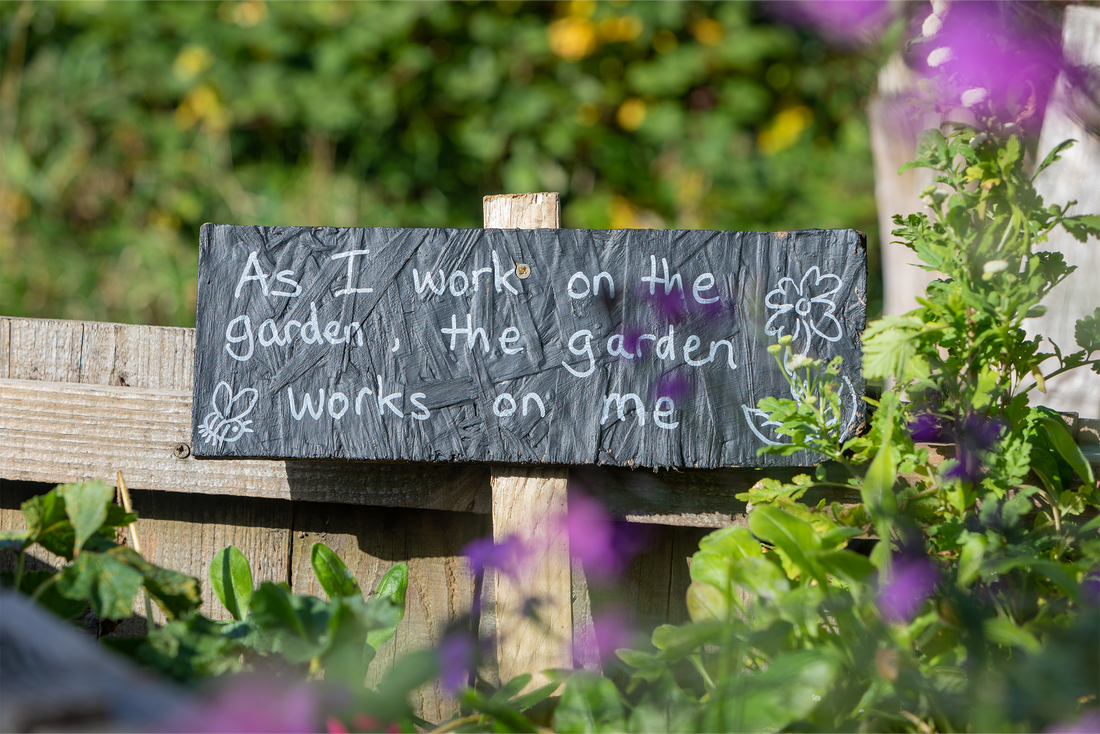 Cultivating Wellness: The Health Benefits of Gardening