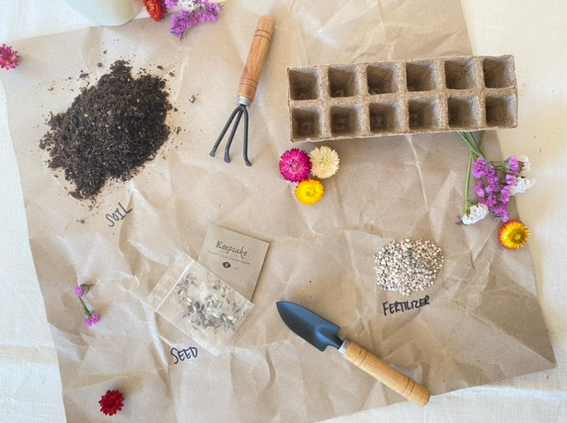 DIY Cornflowers + Dahlias + Cosmos