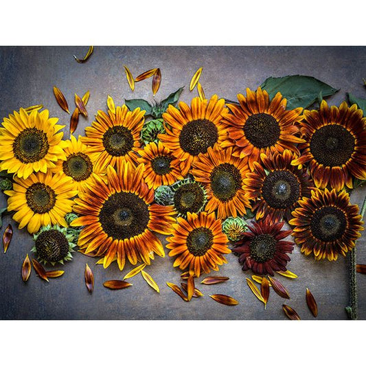 DIY Sunflower